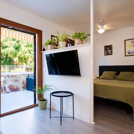 Apartment Windsor Pool Costa Adeje (Tenerife)